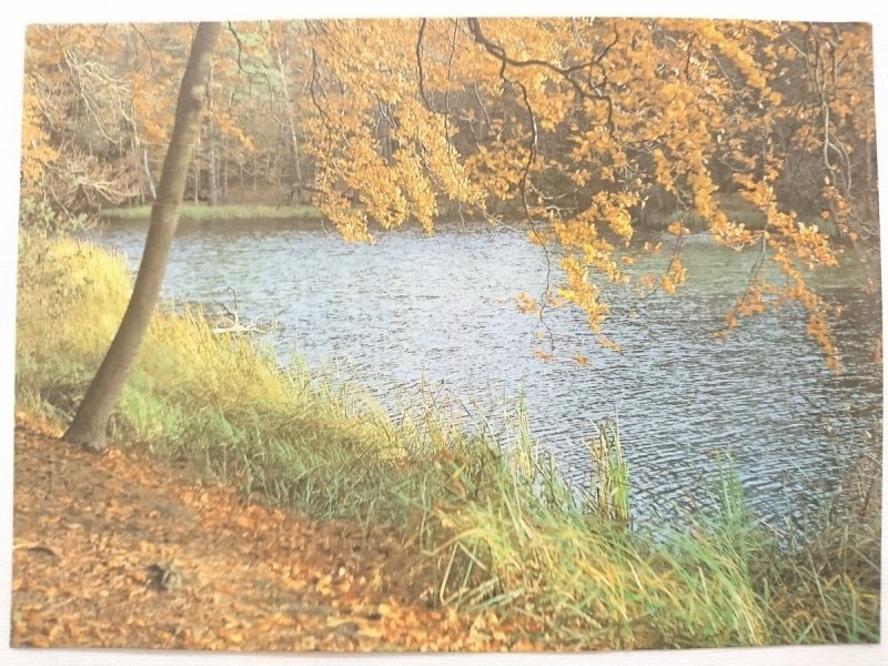 WOLIŃSKI PARK NARODOWY. JEZIORO W GRODNIE FOT. B. JAKUCZUN