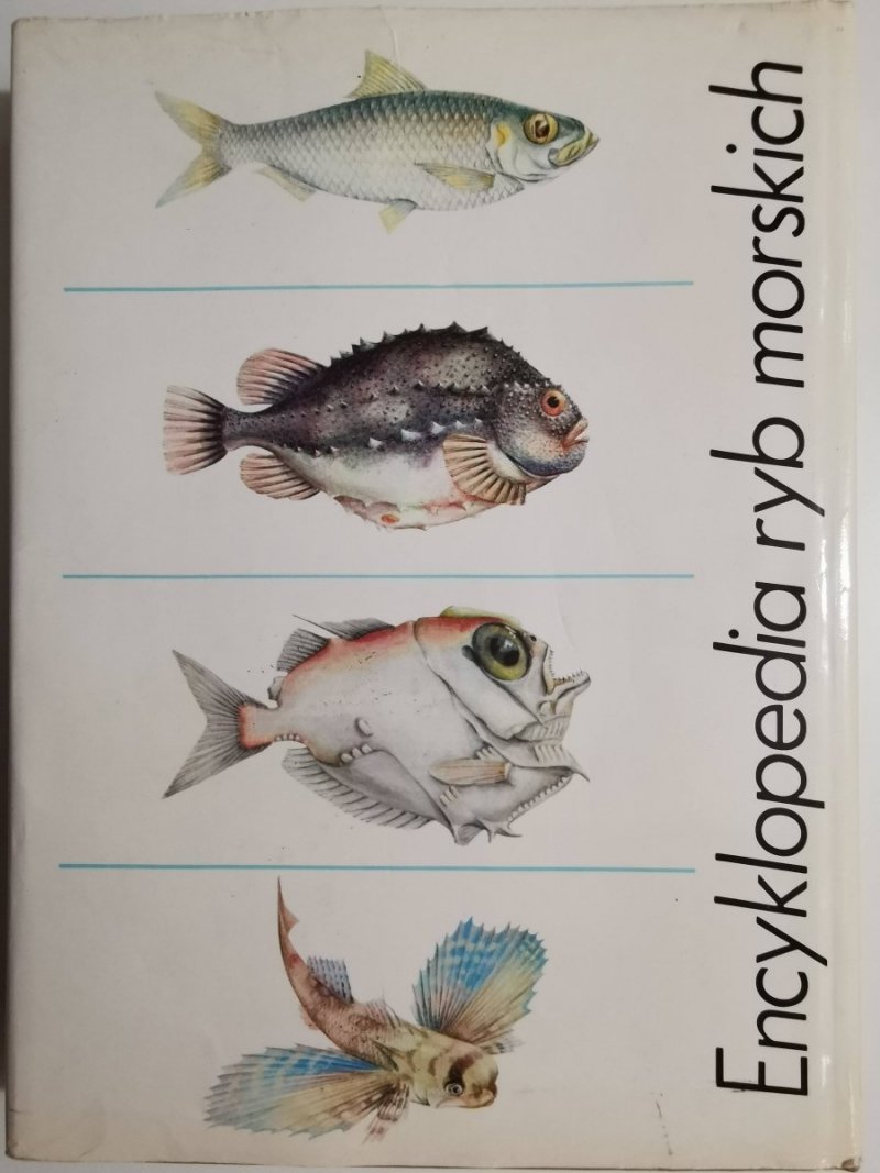 ENCYKLOPEDIA RYB MORSKICH - Stanisław Rutkowicz 1982