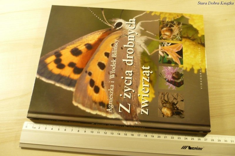 Z ŻYCIA DROBNYCH ZWIERZĄT - Bilińscy (2009)