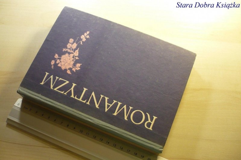 ROMANTYZM. PODRĘCZNIK - Eugeniusz Sawrymowicz 1988