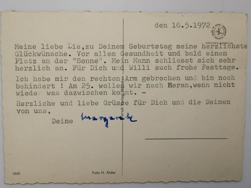 BRĄZOWY KOŃ Z BIAŁYM PASEM WZDŁUŻ GŁOWY