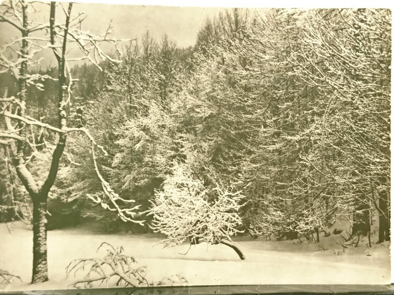 BESKID ŚLĄSKI. NA STOKACH CZANTORII