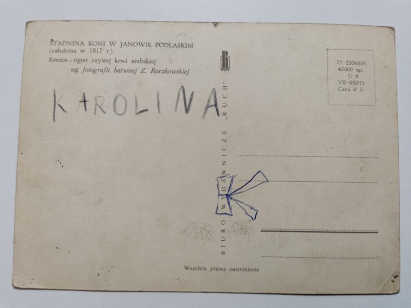 STADNINA KONI W JANOWIE PODLASKIM. KREZUS FOT. RACZKOWSKA