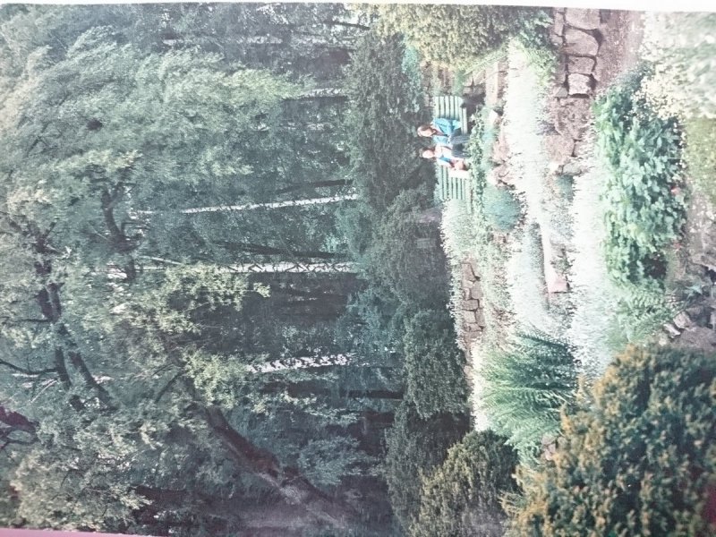 POŁCZYN ZDRÓJ. PARK ZDROJOWY FOT. J. TYMIŃSKI