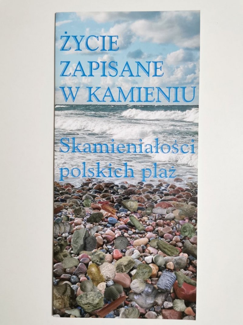 ŻYCIE ZAPISANE W KAMIENIU. SKAMIENIAŁOŚCI POLSKICH PLAŻ 2009