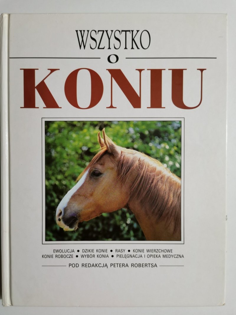WSZYSTKO O KONIU