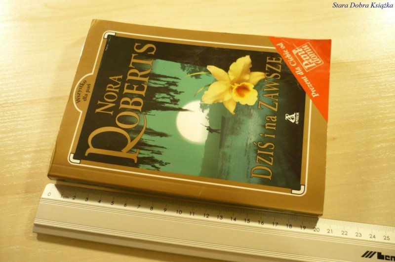 DZIŚ I NA ZAWSZE - Nora Roberts (2001)