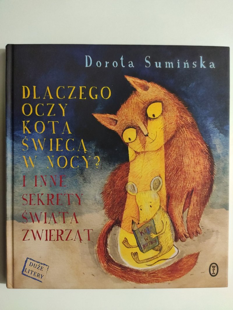 DLACZEGO OCZY KOTA ŚWIECĄ W NOCY? - Dorota Sumińska