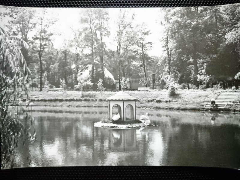 TOMASZÓW MAZOWIECKI. PARK FOT. K. JABŁOŃSKI