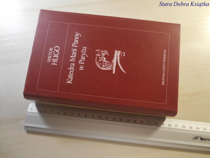KATEDRA MARII PANNY W PARYŻU - Wiktor Hugo 2005