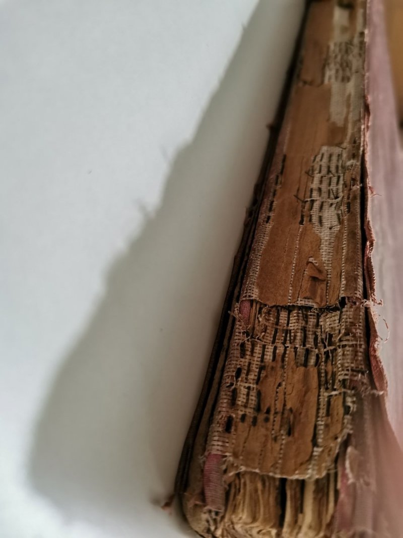 KATHOLISCHE BILDERBIBEL. ILUSTROWANA BIBLIA W JĘZYKU NIEMIECKIM 1908