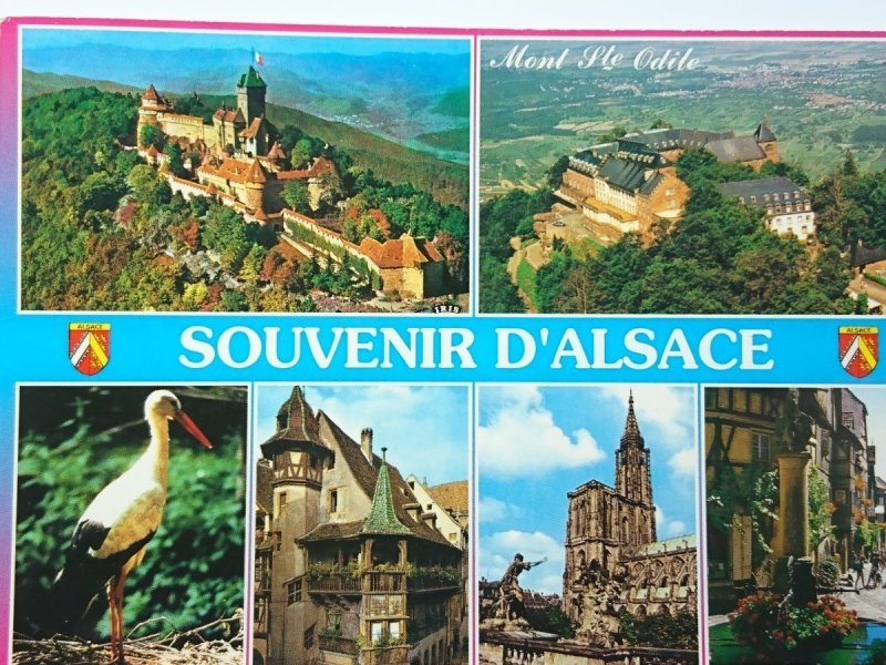 SOUVENIR D'ALSACE. MONT STE ODILE