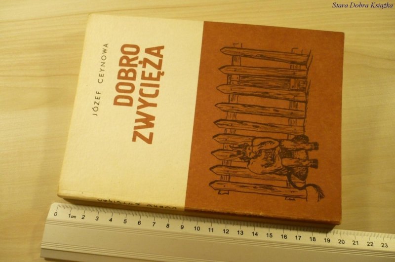 DOBRO ZWYCIĘŻA - Józef Ceynowa (1985)