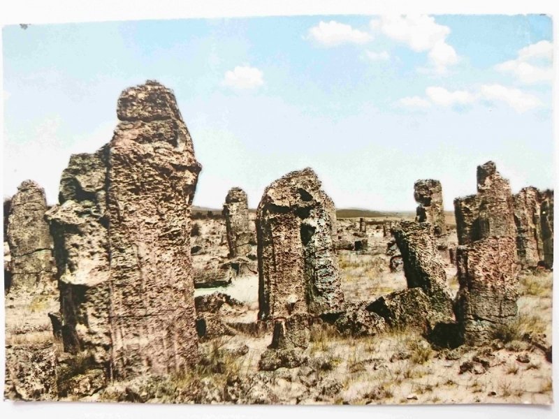 VARNA. DIE GEGEND VERSTEINERTER WALD