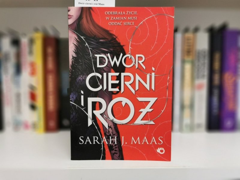 DWÓR CIERNI I RÓŻ - Sarah J. Maas