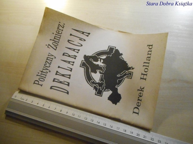 POLITYCZNY ŻOŁNIERZ: DEKLARACJA Derek Holland 1993