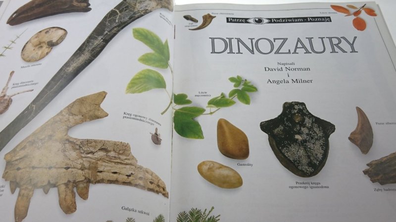 PATRZĘ PODZIWIAM POZNAJĘ DINOZAURY - Norman 1994