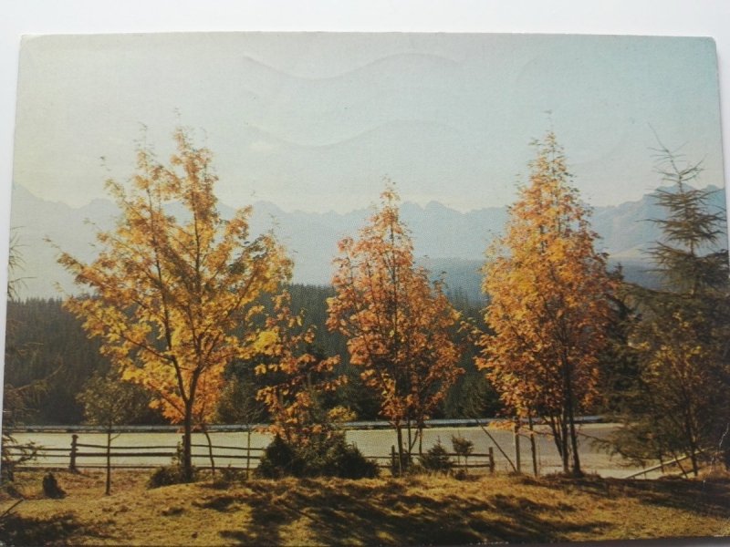 PANORAMA TATR Z GŁODÓWKI FOT. T. OLSZEWSKI