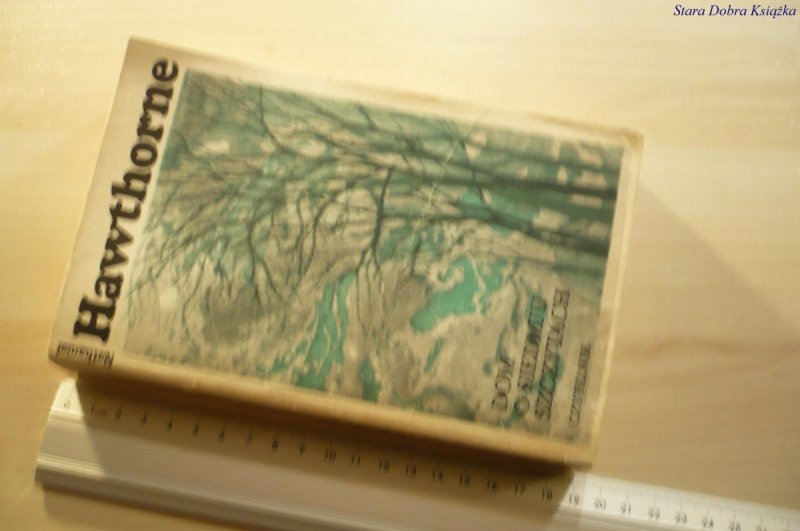 DOM O SIEDMIU SZCZYTACH - Nathaniel Hawthorne 1982