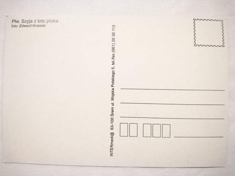PŁW. SZYJA Z LOTU PTAKA FOT. EDWARD KNASIAK