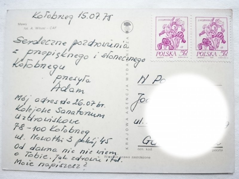 MEWY FOT. A. WITUSZ