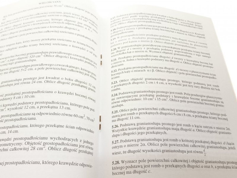 I TY ZOSTANIESZ EUKLIDESEM - Anna Zalewska 2001