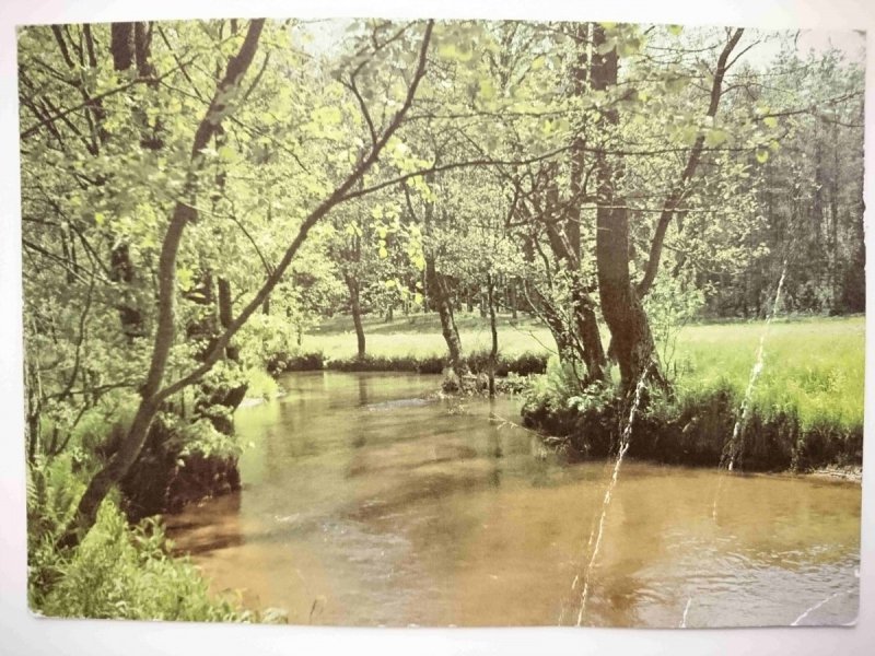 ROZTOCZE – REZERWAT PRZYRODY NAD TANWIĄ. KRAJOBRAZ RZEKI TANEW