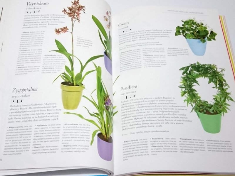 ENCYKLOPEDIA PIELĘGNACJI. ROŚLINY POKOJOWE 2006