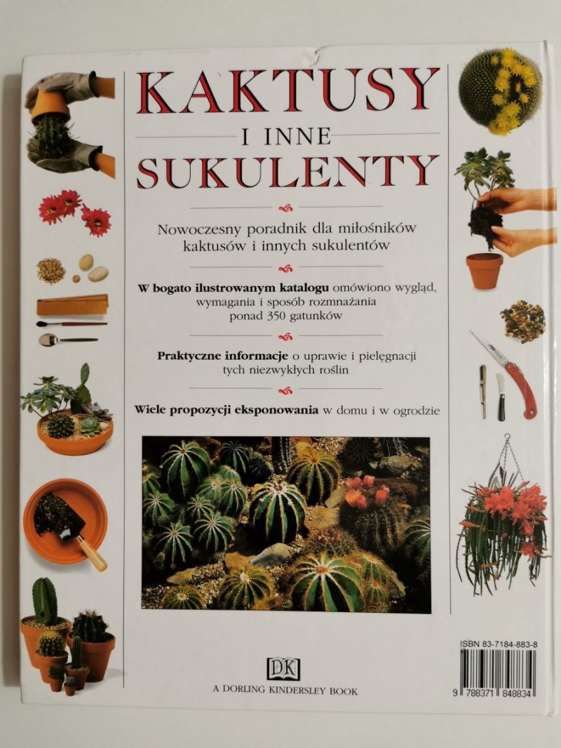KAKTUSY I INNE SUKULENTY. SZTUKA UPRAWY I EKSPONOWANIA 1999