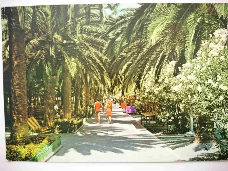 S. BENEDETTO DEL TRONTO (AP) VIALE DELLE PALME