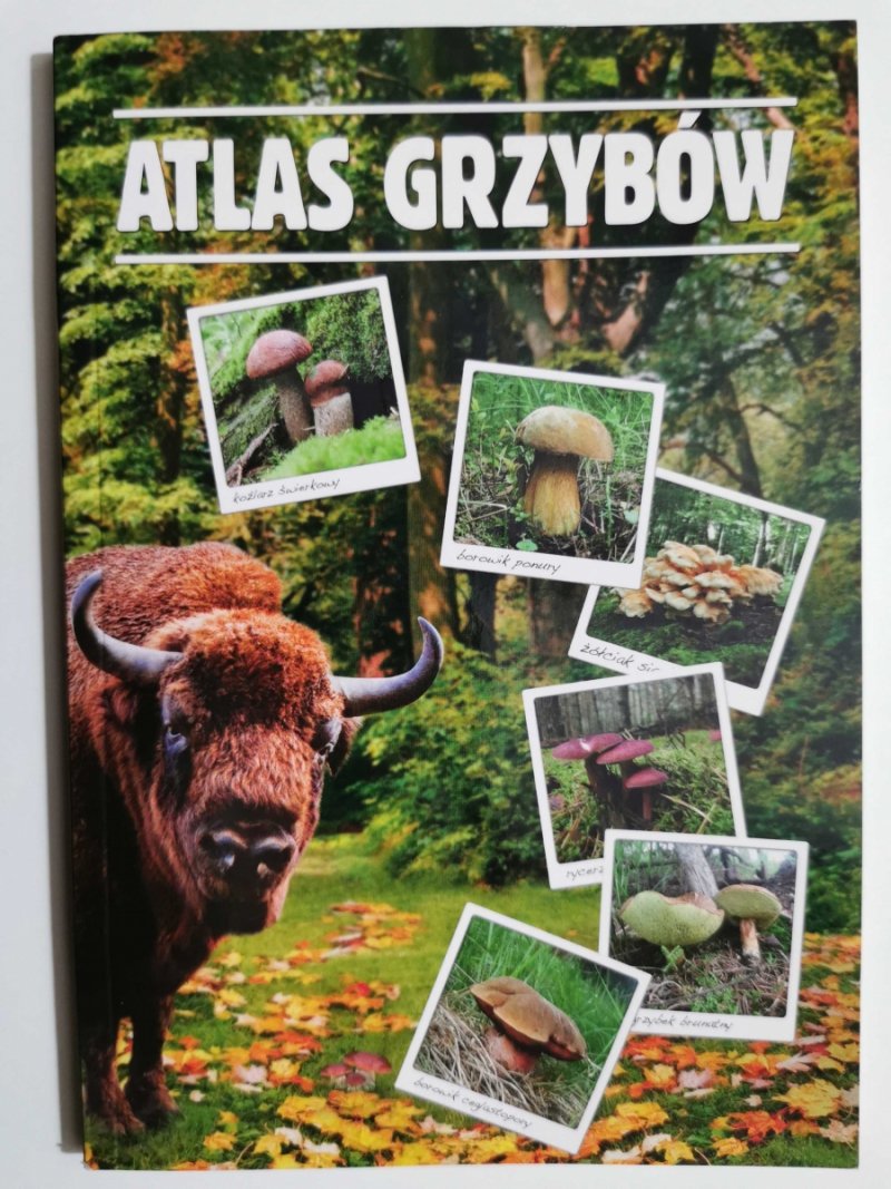 ATLAS GRZYBÓW - Wiesław Kamiński