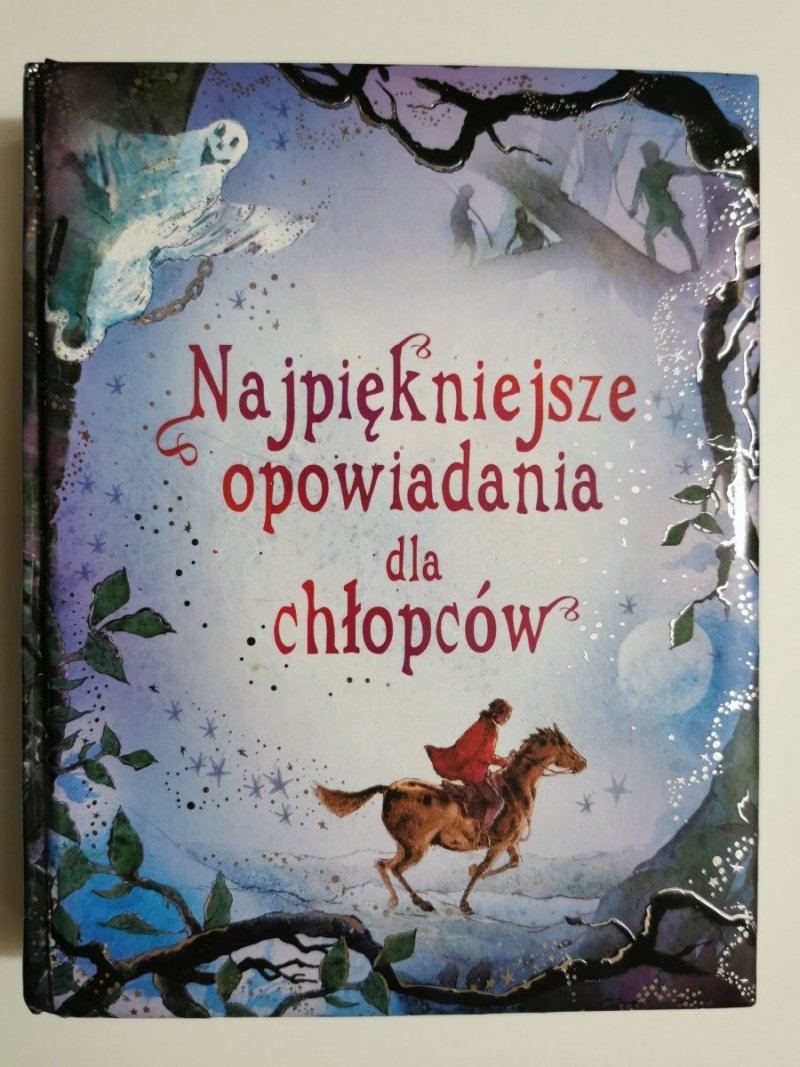 NAJPIĘKNIEJSZE OPOWIADANIA DLA CHŁOPCÓW