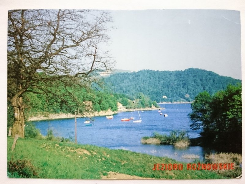 JEZIORO ROŻNOWSKIE FOT. Z. MUZYK