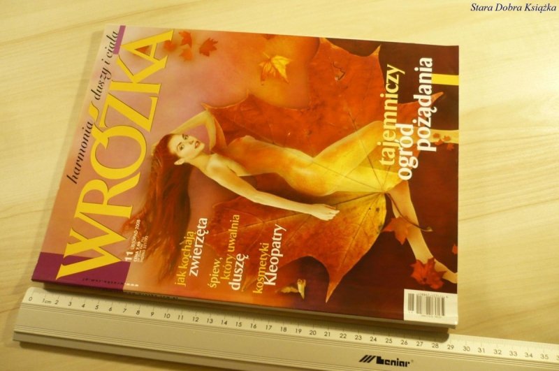 WRÓŻKA 11 LISTOPAD 2008
