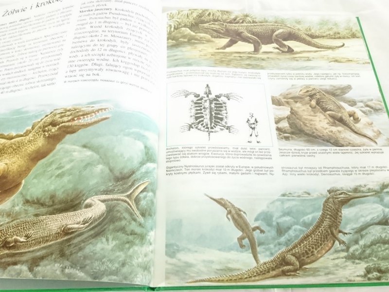 TAJEMNICE ZWIERZĄT. PREHISTORIA - Michel Cuisin 1990
