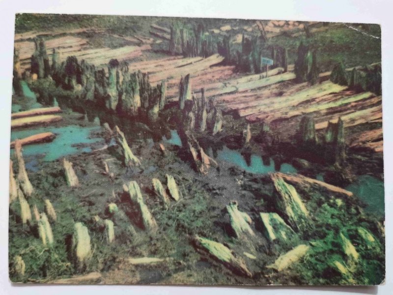BISKUPIN. FRAGMENT ODKOPANEGO TERENU STAREGO OSIEDLA PRASŁOWIAŃSKIEGO SPRZED 2500 LAT