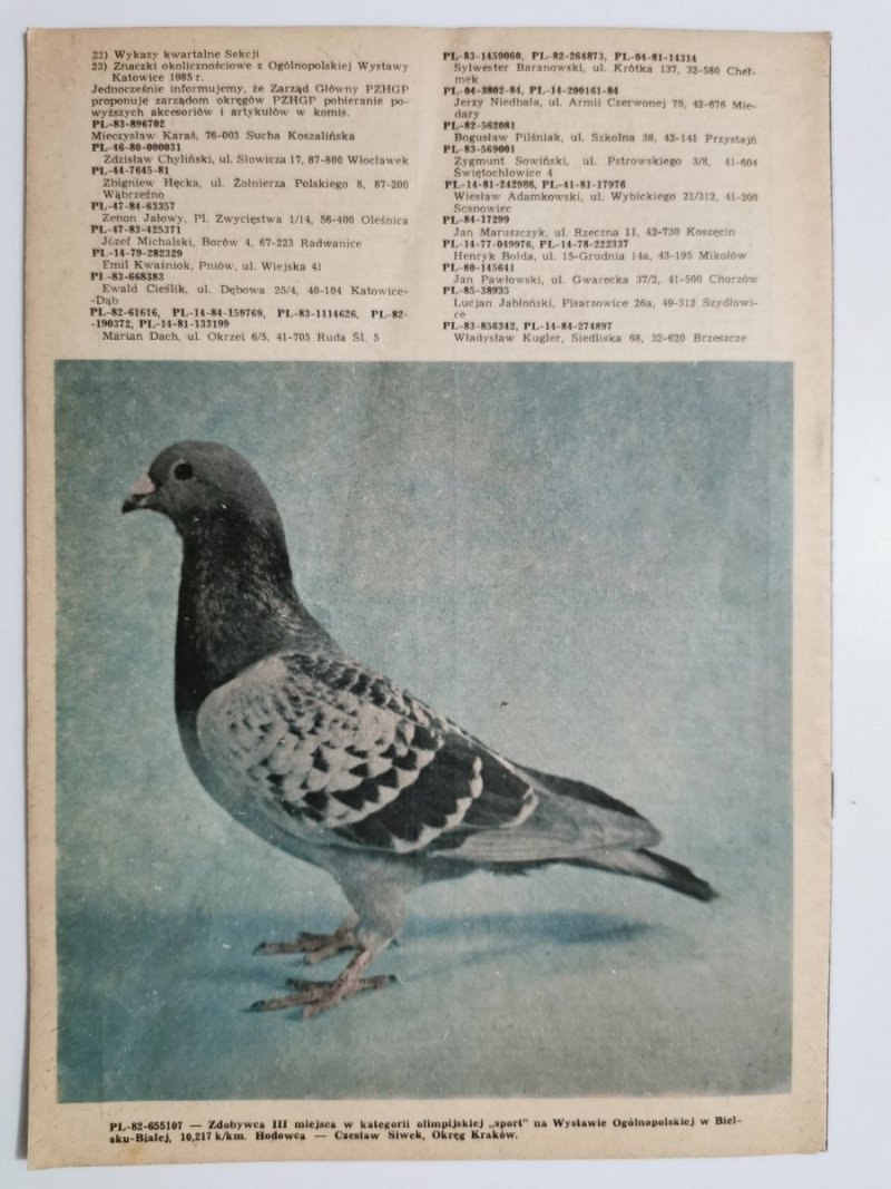 HODOWCA GOŁĘBI POCZTOWYCH NR 6 1986