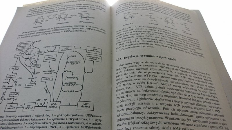 BIOCHEMIA KRĘGOWCÓW - Wacław Minakowski 1990