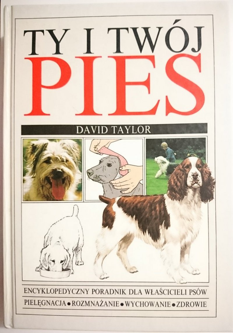 TY I TWÓJ PIES - David Taylor 1993