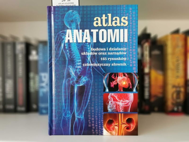 Atlas anatomii - Justyna Mazurek, Łukasz Bułdak