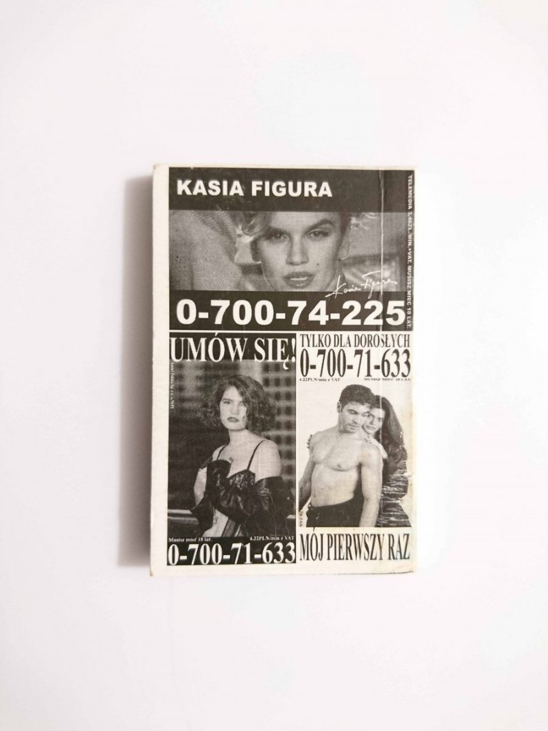 PAN TADEUSZ XIII KSIĘGA / NOWOCZESNA SZTUKA CHĘDOŻENIA - 1999