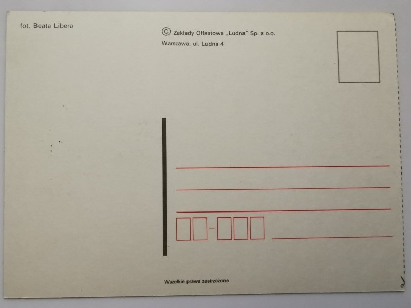KOŃ ZE ŹREBAKIEM NA PASTWISKU FOT. LIBERA