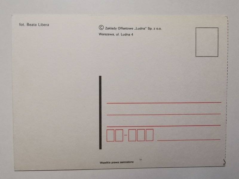 CIEMNOBRĄZOWY KOŃ NA WYBIEGU FOT. LIBERA