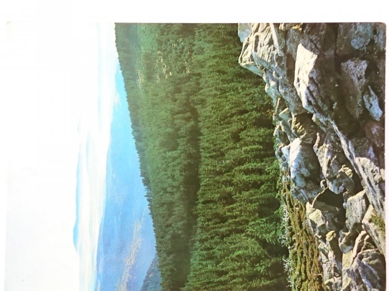 NATIONALPARK BAYERISCHER WALD LUSENGIPFEL