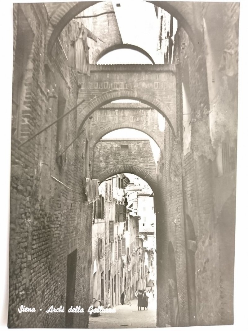 THE ARKS OF THE GALLUZZA