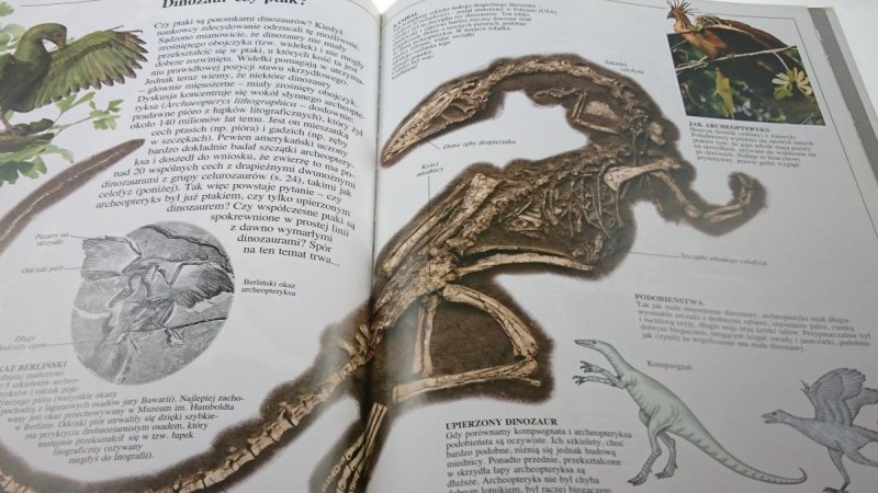 PATRZĘ PODZIWIAM POZNAJĘ DINOZAURY - Norman 1994