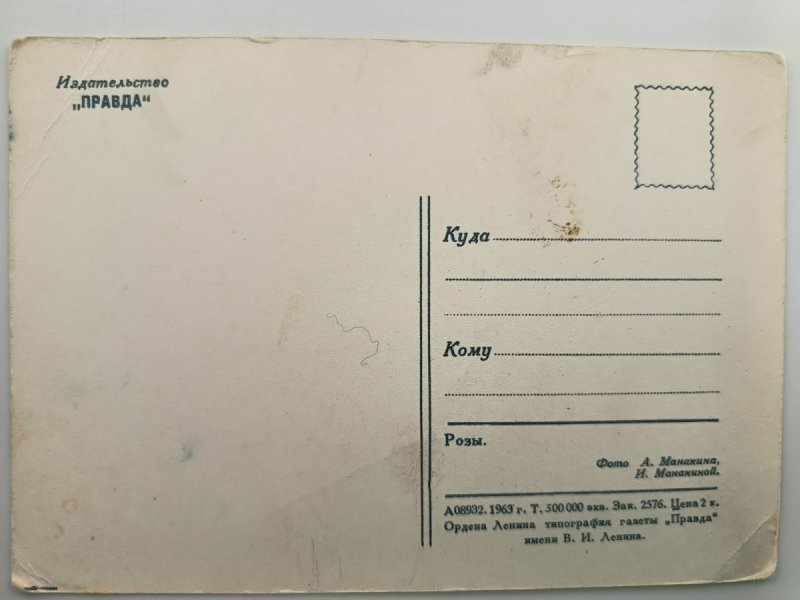 CZERWONE RÓŻE BIAŁA RAMKA