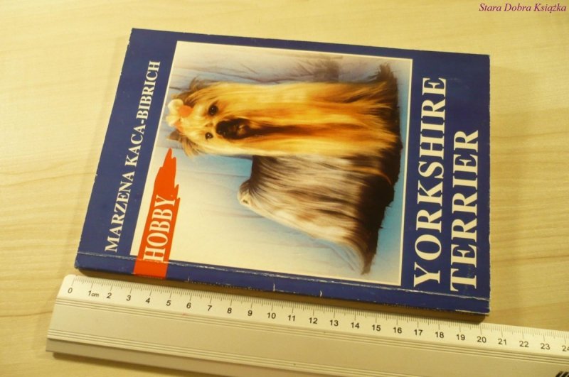 YORKSHIRE TERRIER - Marzena Kaca-Bibrich