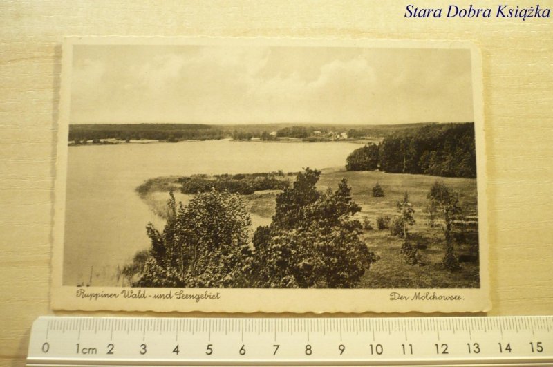 RUPPINER WALD - UND SEENGEBIET. DER MOLCHOWSEE