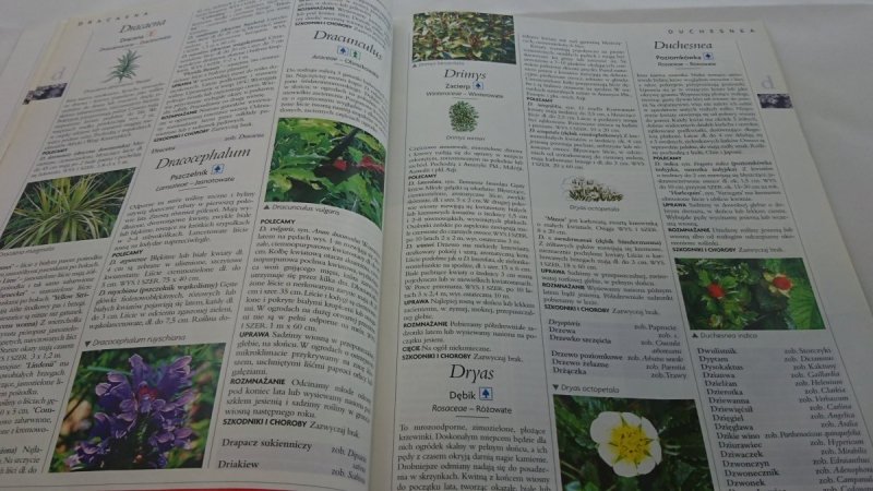 ILUSTROWANA ENCYKLOPEDIA ROŚLIN CZĘŚĆ 3/8 D-F
